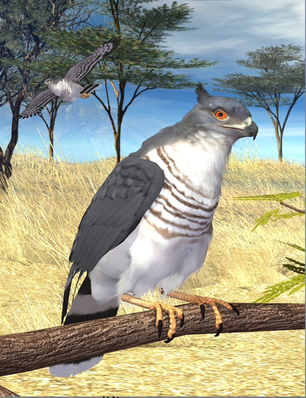 Songbird ReMix Birds of Prey Vol 2 Mini-Set - African Hawks by N/A