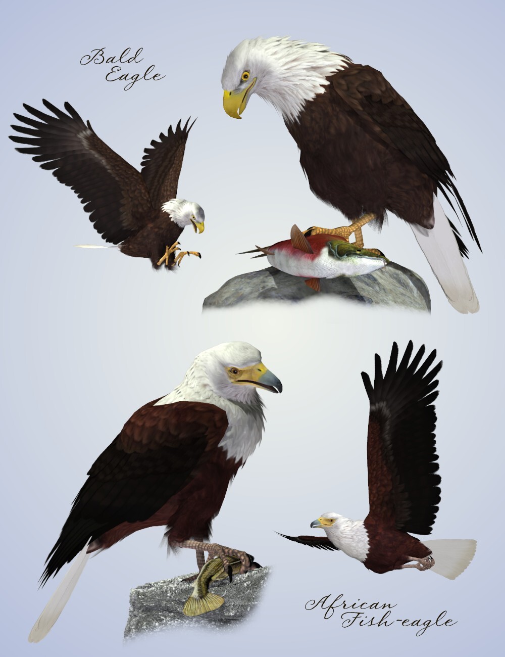 Songbird ReMix Birds of Prey Vol 4 Mini-Set - Fish and Snake Eagles by N/A