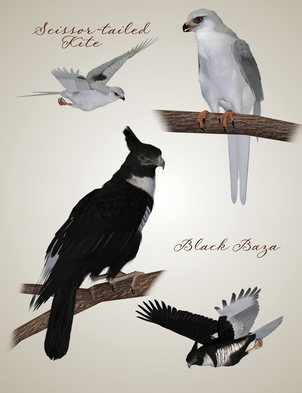 Songbird ReMix Birds of Prey Vol 5 - Falcons, Hawks & Eagles by N/A