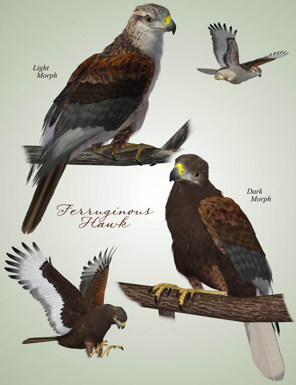 Songbird ReMix Birds of Prey Vol 5 - Falcons, Hawks & Eagles by N/A