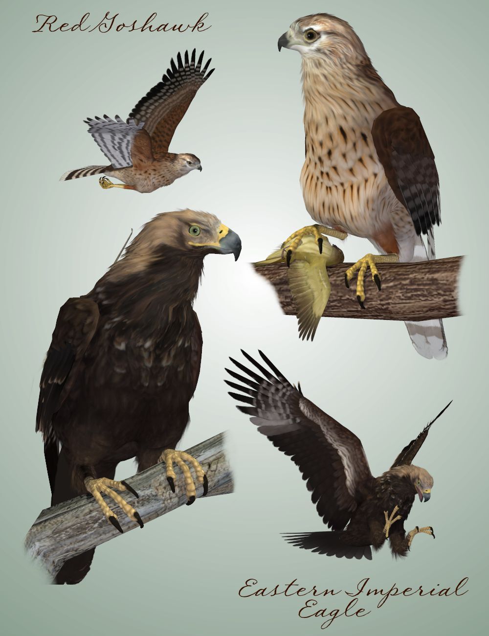 Songbird ReMix Birds of Prey Vol 5 - Falcons, Hawks & Eagles by N/A