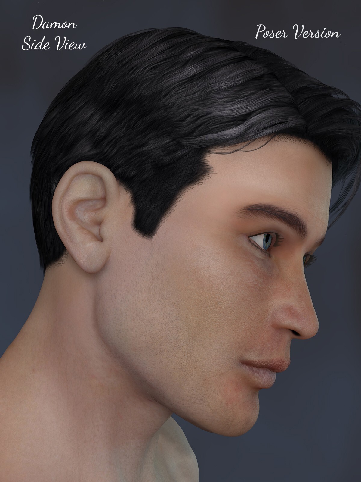 FL Damon for Dusk - Poser by N/A