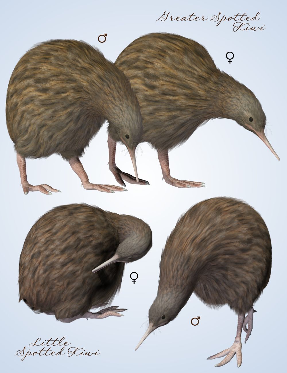 Songbird ReMix Kiwis by N/A
