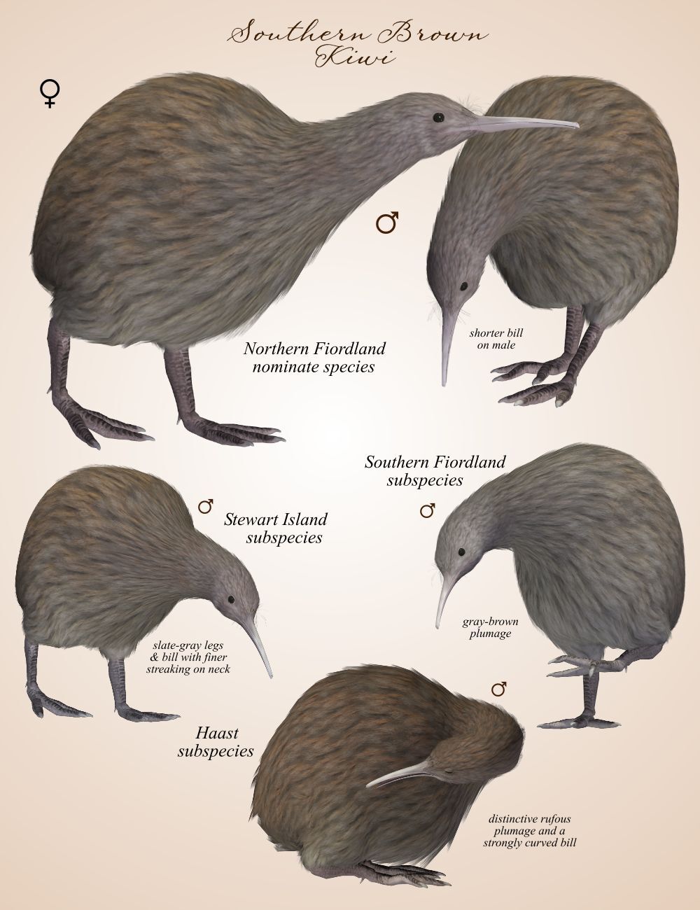 Songbird ReMix Kiwis by N/A