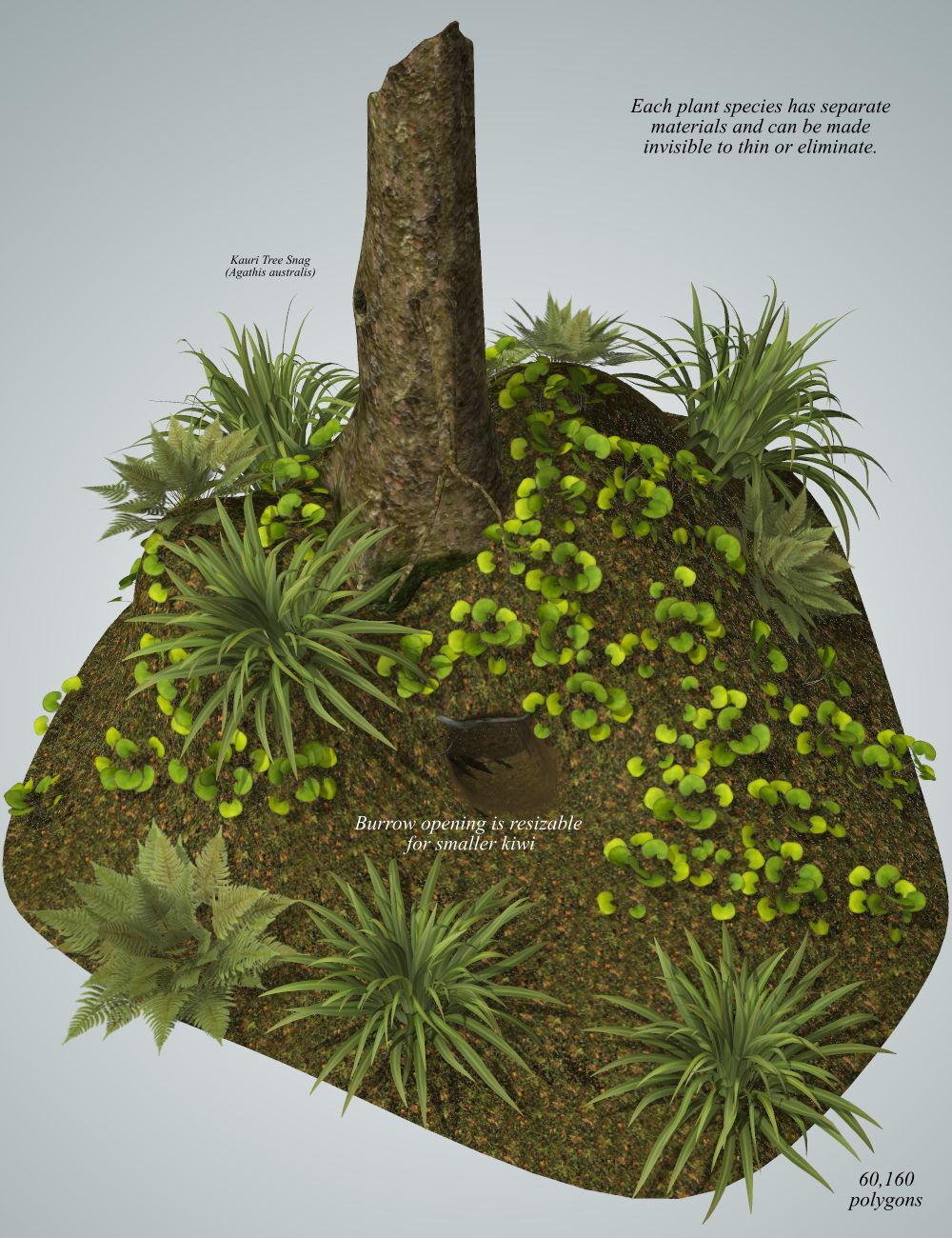 Nature's Wonders Kiwi Burrow by N/A
