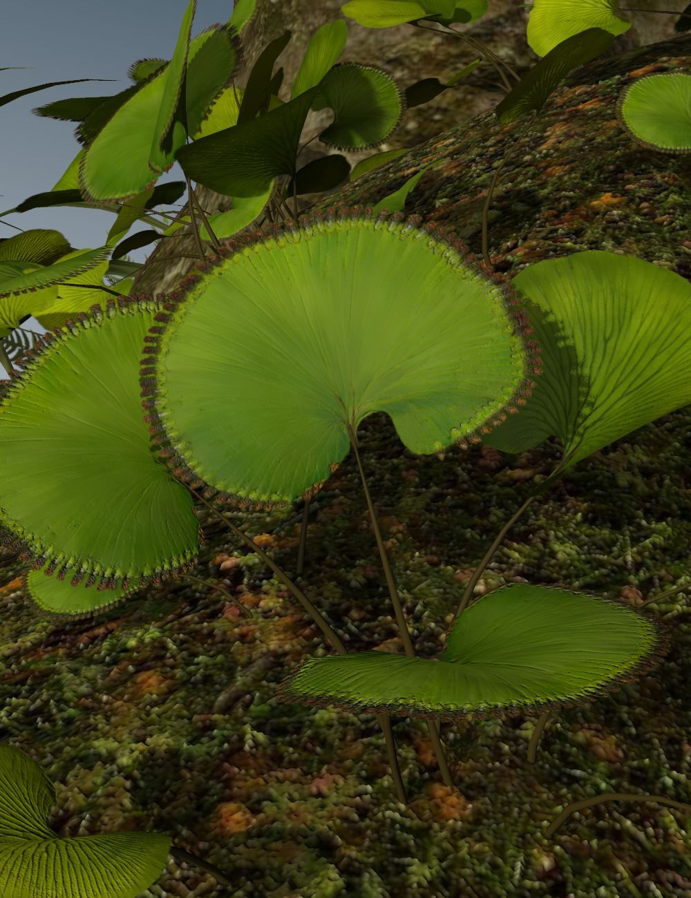Nature's Wonders Kiwi Burrow by N/A
