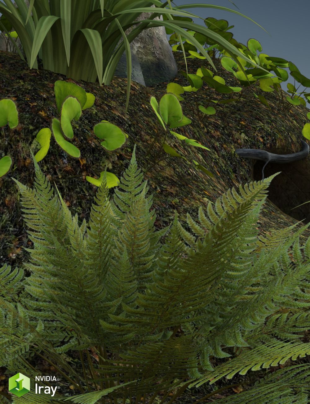Nature's Wonders Kiwi Burrow by N/A