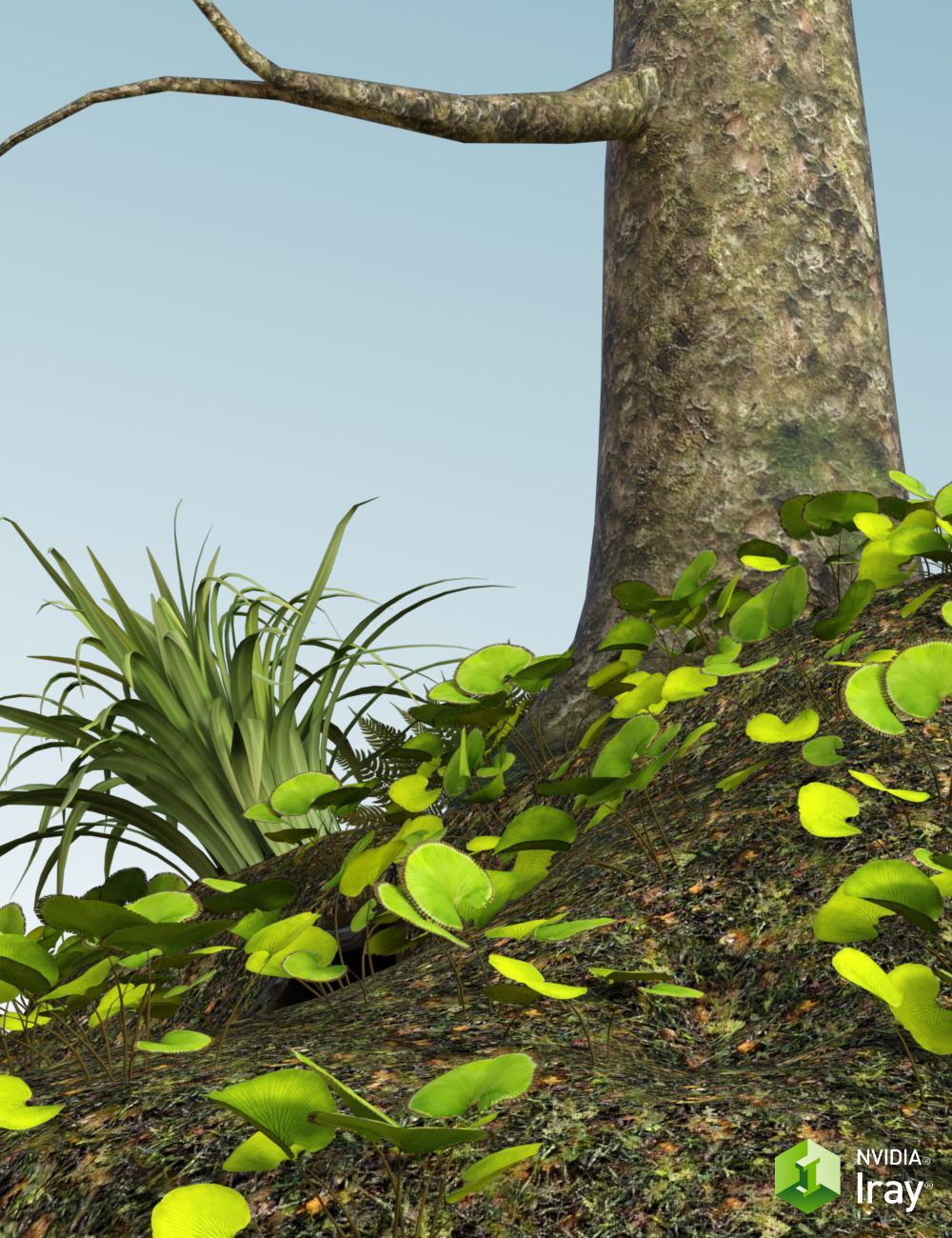 Nature's Wonders Kiwi Burrow by N/A