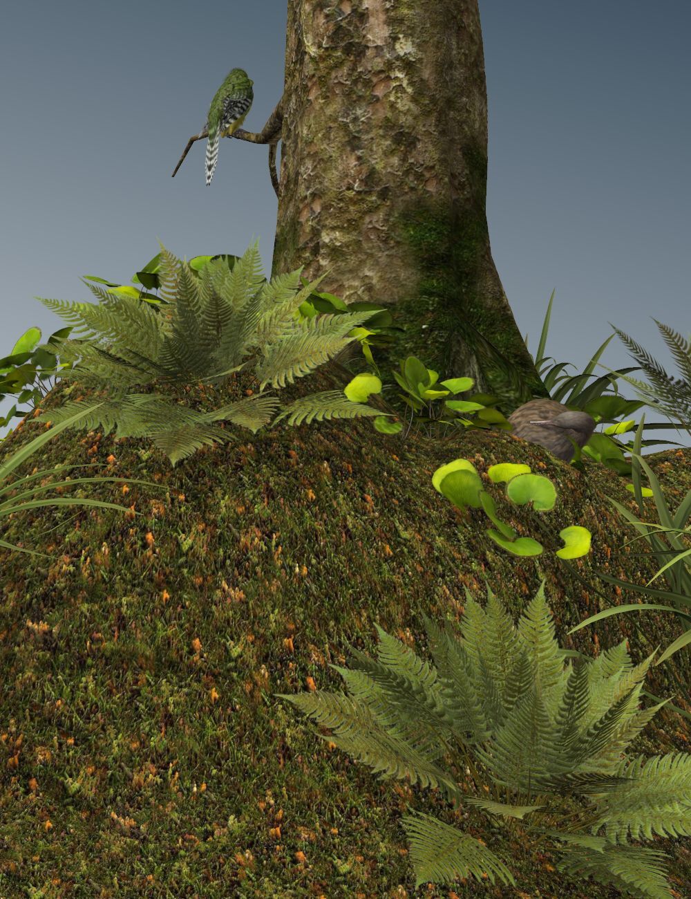 Nature's Wonders Kiwi Burrow by N/A