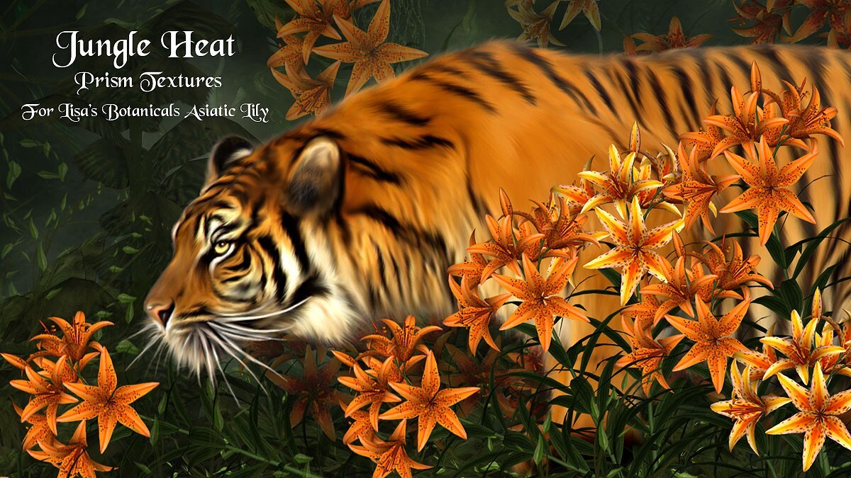 Jungle Heat for Asiatic Lily by N/A