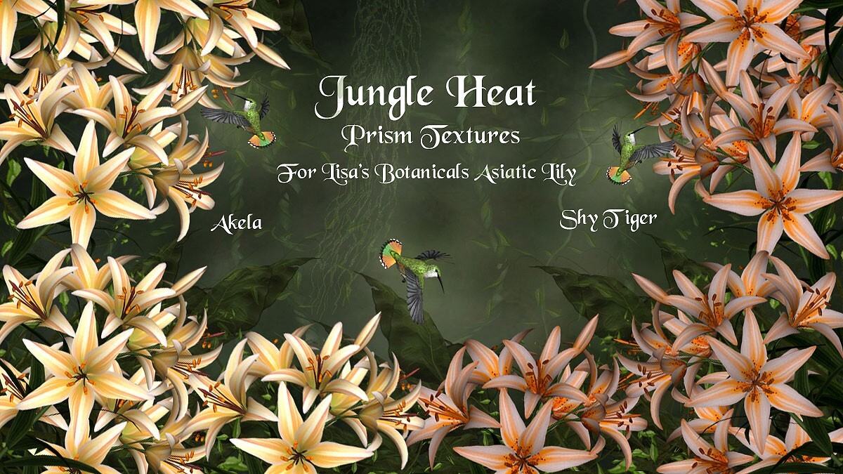 Jungle Heat for Asiatic Lily by N/A
