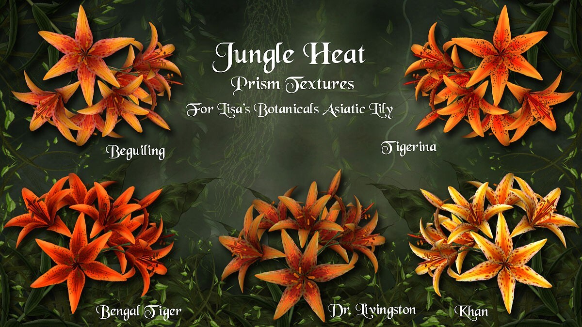 Jungle Heat for Asiatic Lily by N/A