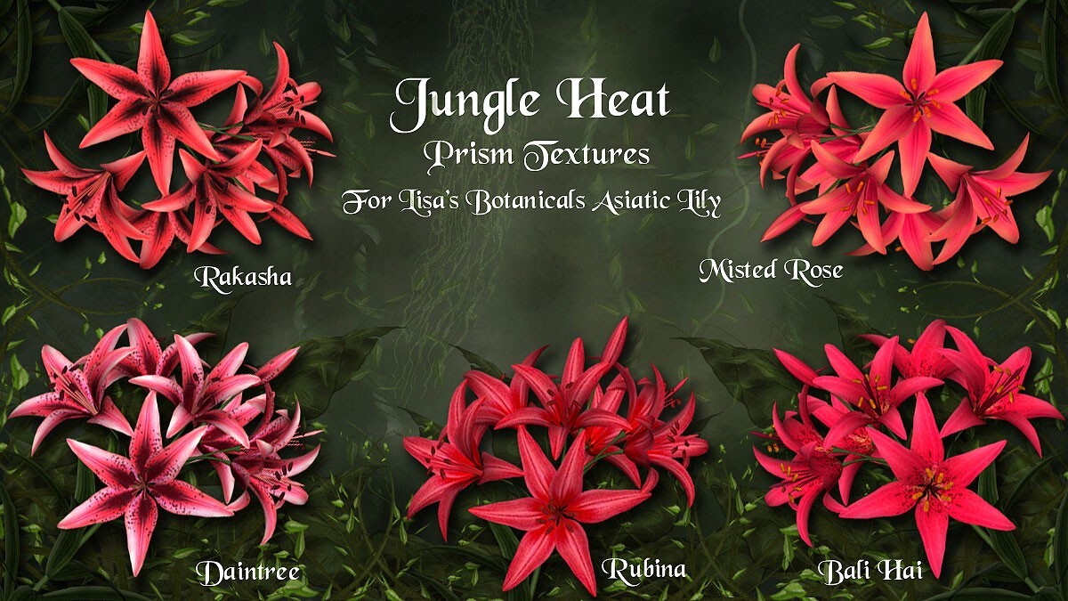 Jungle Heat for Asiatic Lily by N/A
