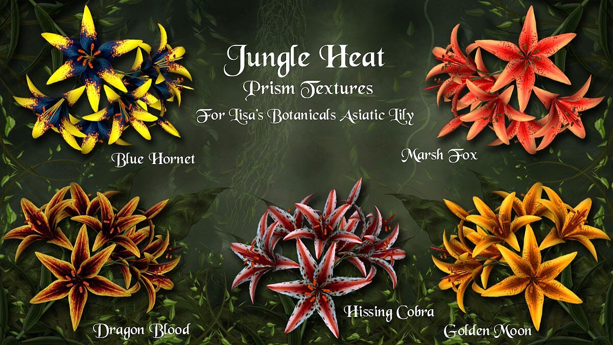 Jungle Heat for Asiatic Lily by N/A