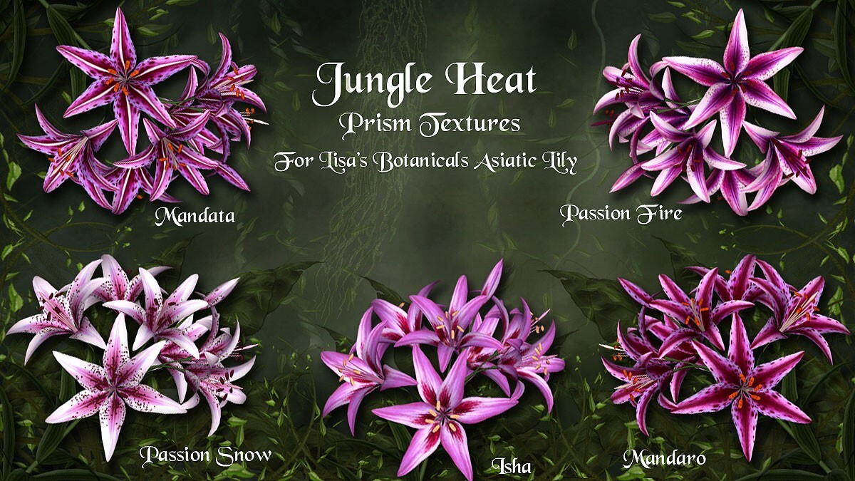 Jungle Heat for Asiatic Lily by N/A