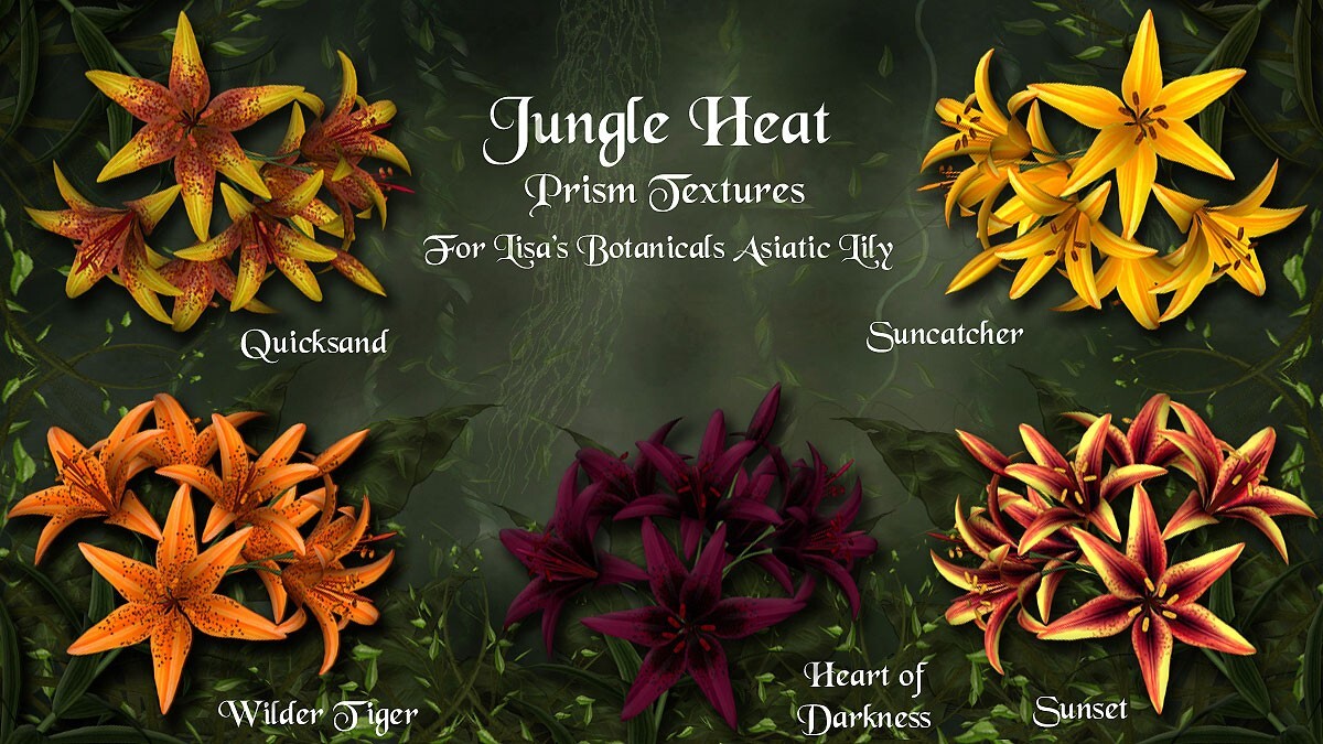 Jungle Heat for Asiatic Lily by N/A