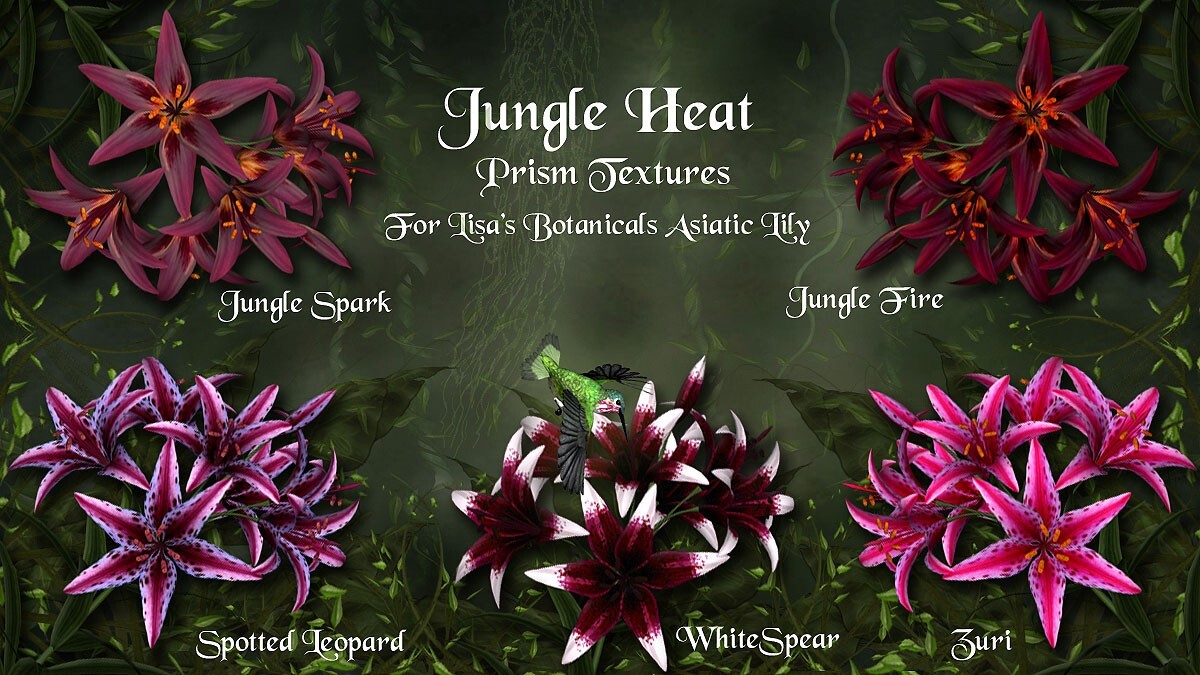 Jungle Heat for Asiatic Lily by N/A