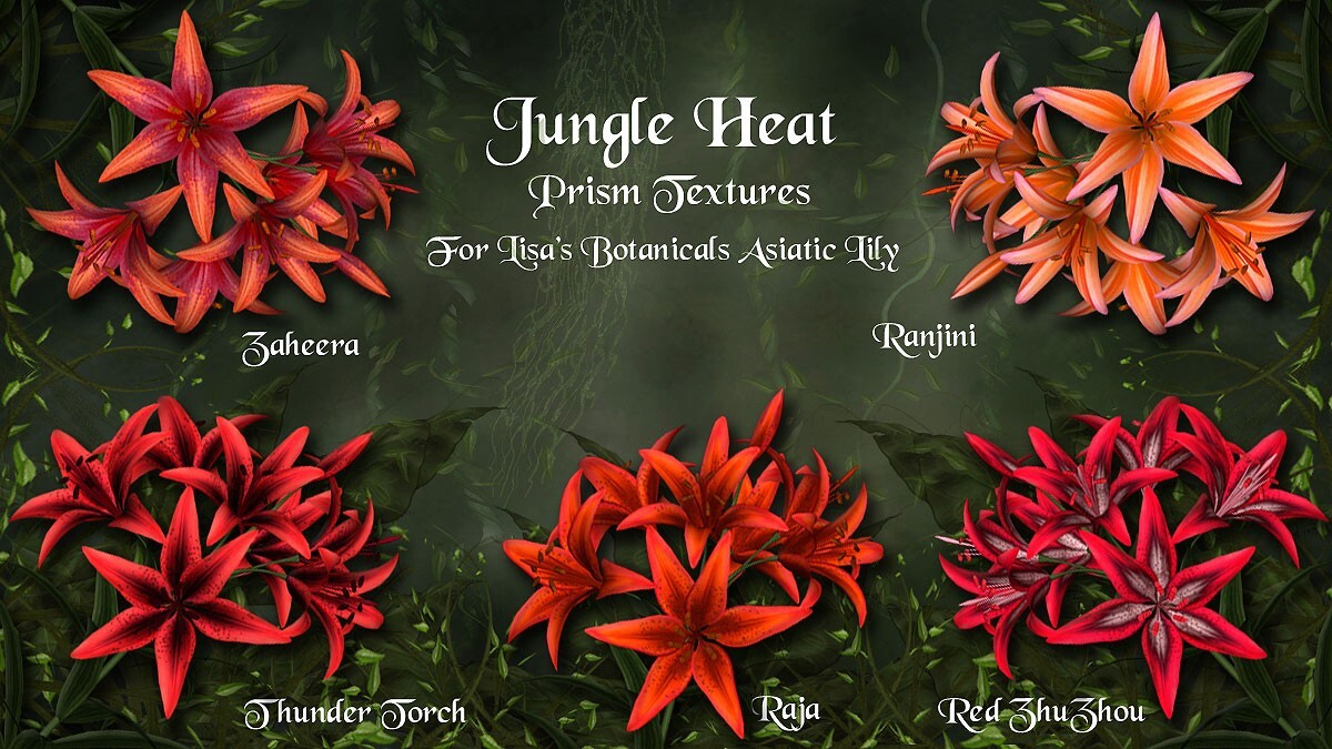 Jungle Heat for Asiatic Lily by N/A