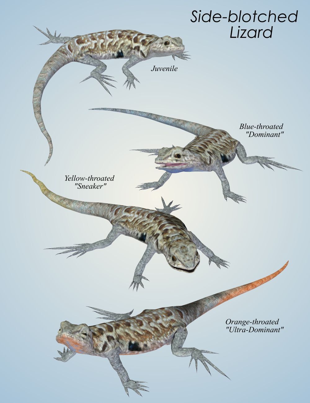 Nature's Wonders Lizards of the World Vol. 1 by N/A