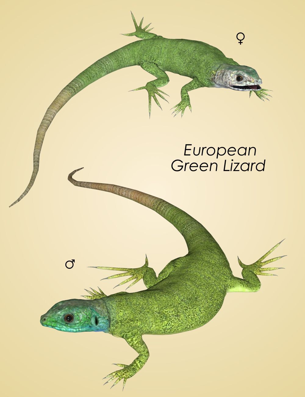 Nature's Wonders Lizards of the World Vol. 1 by N/A