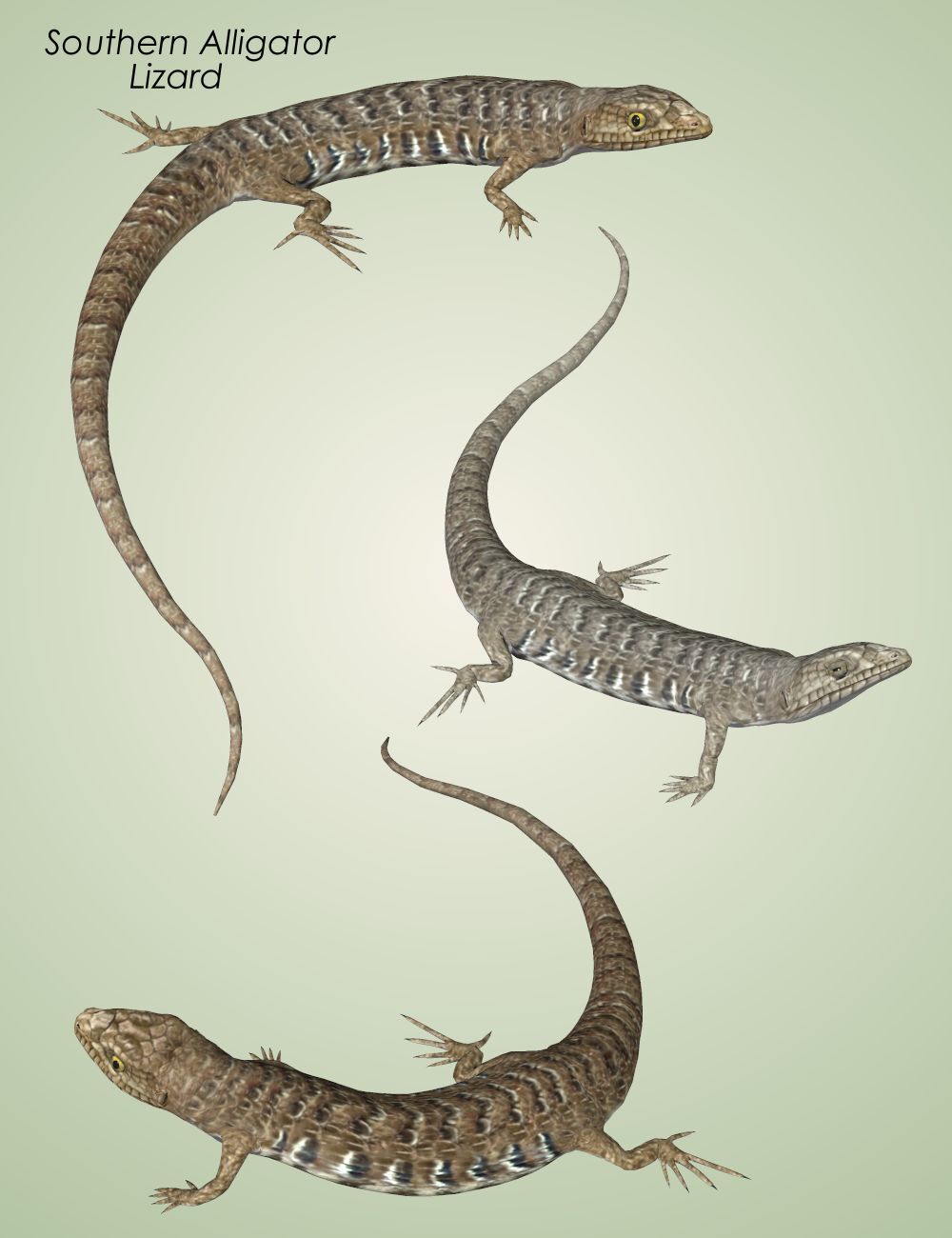 Nature's Wonders Lizards of the World Vol. 2 by N/A