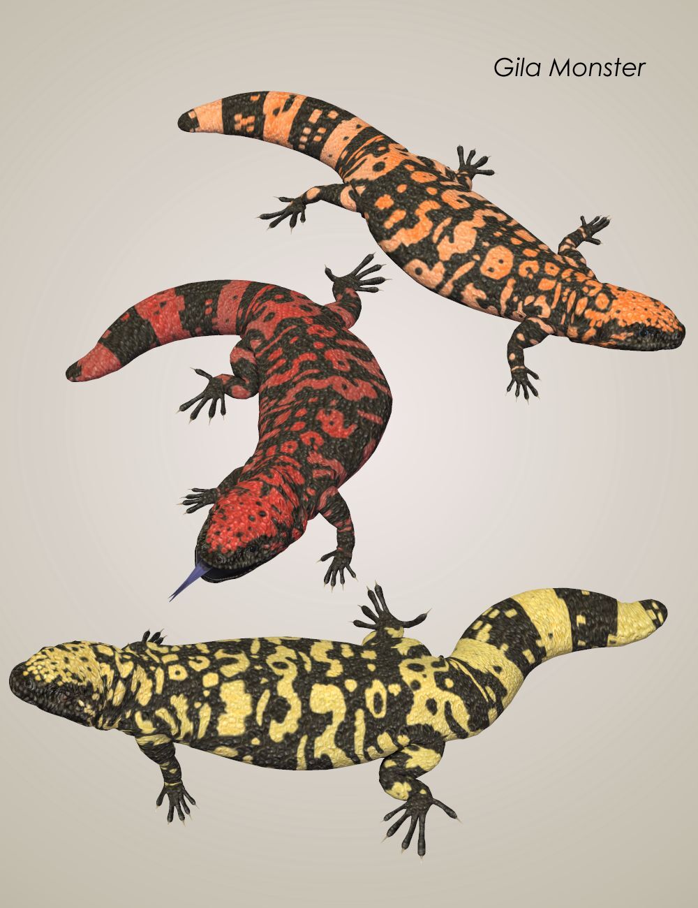 Nature's Wonders Lizards of the World Vol. 2 by N/A