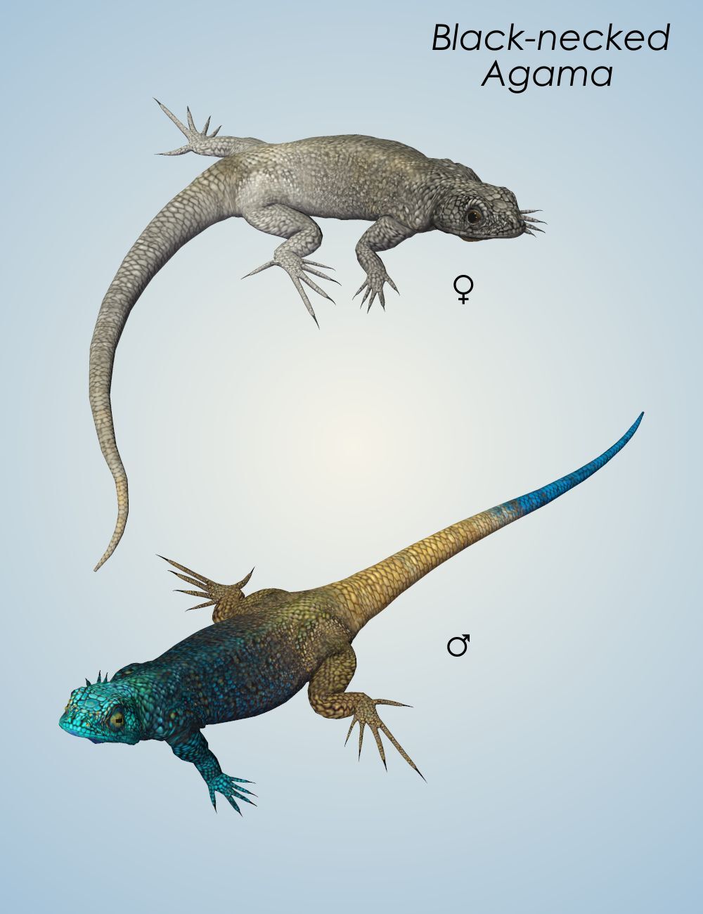 Nature's Wonders Lizards of the World Vol. 2 by N/A
