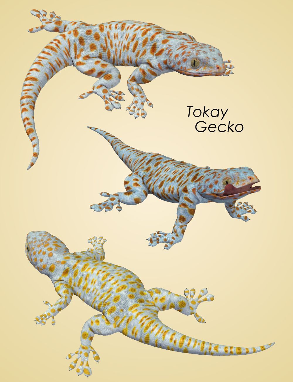 Nature's Wonders Lizards of the World Vol. 2 by N/A