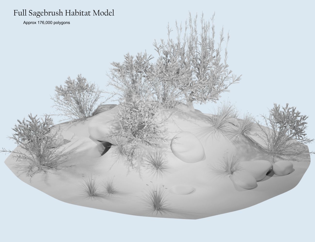 Nature's Wonders Sagebrush Habitat by N/A