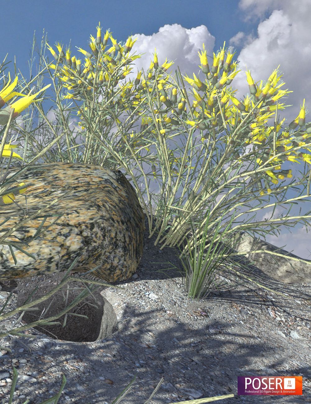 Nature's Wonders Sagebrush Habitat by N/A