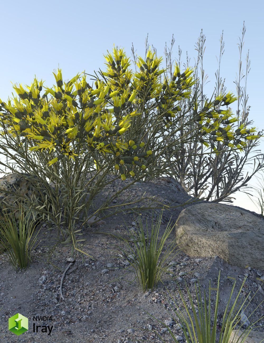 Nature's Wonders Sagebrush Habitat by N/A