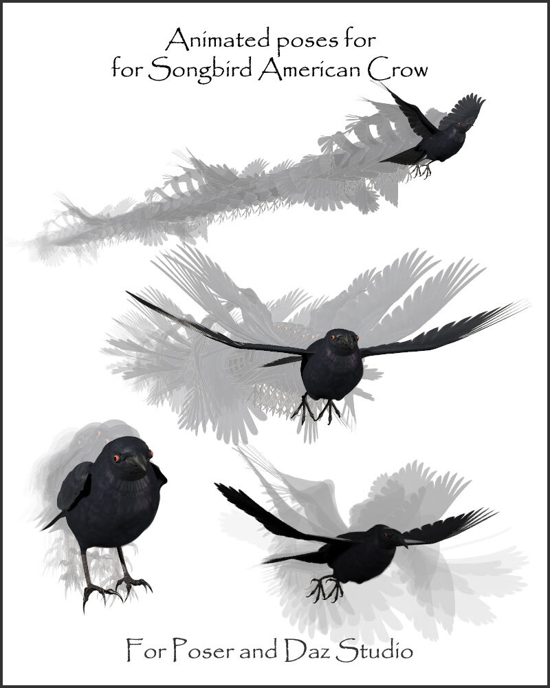 Fly for Songbird Remix American Crow by N/A