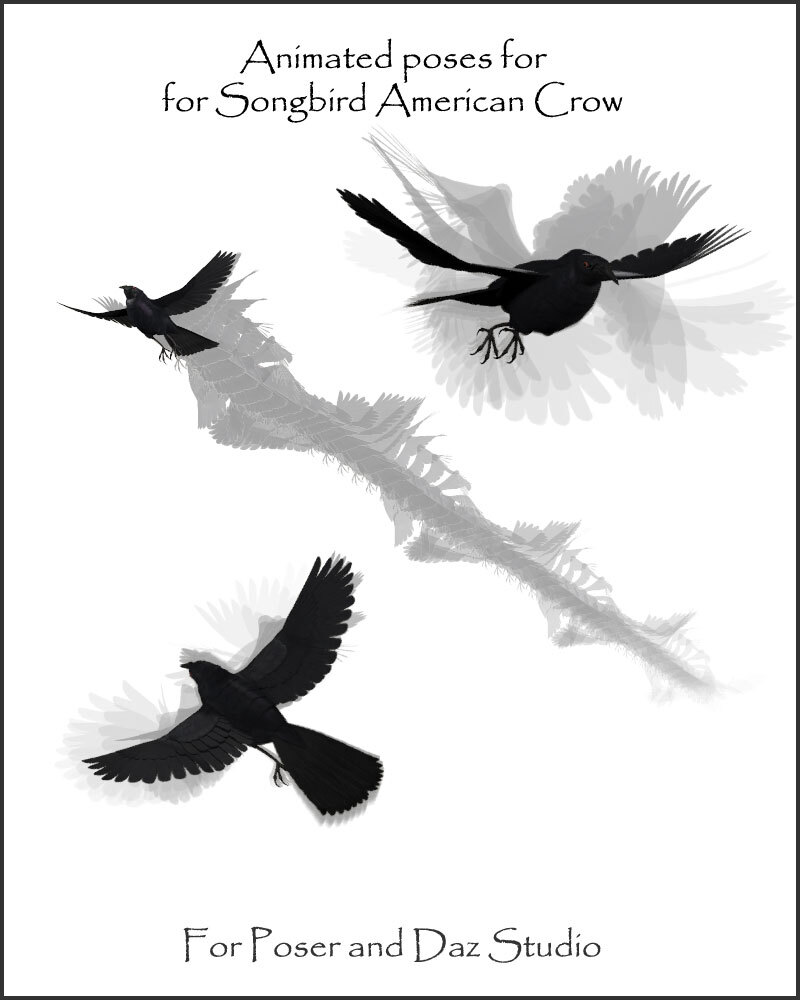 Fly for Songbird Remix American Crow by N/A