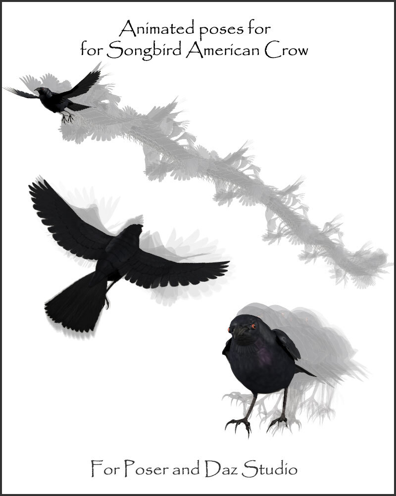 Fly for Songbird Remix American Crow by N/A