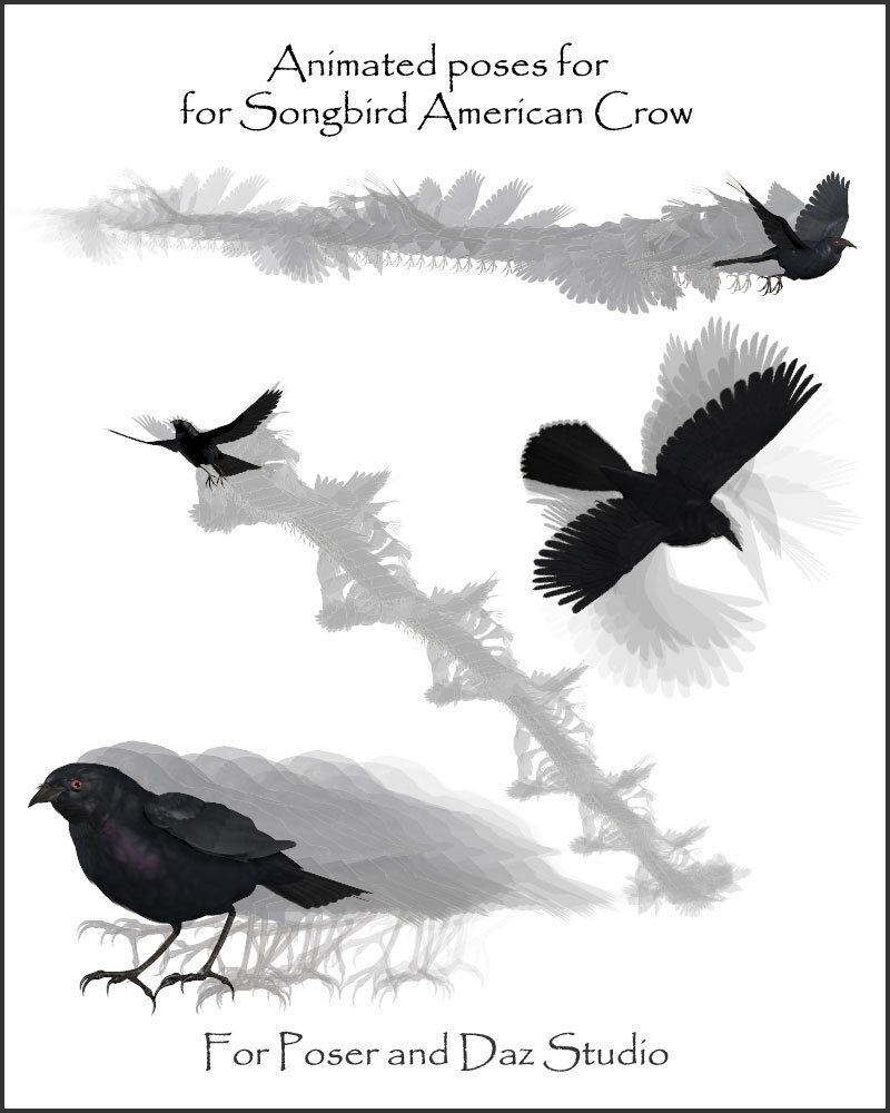 Fly for Songbird Remix American Crow by N/A
