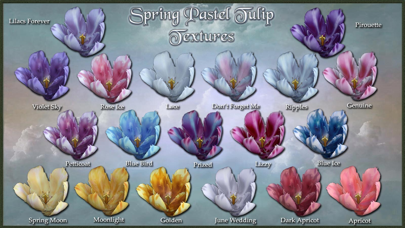 Spring Pastel Tulip Textures by N/A