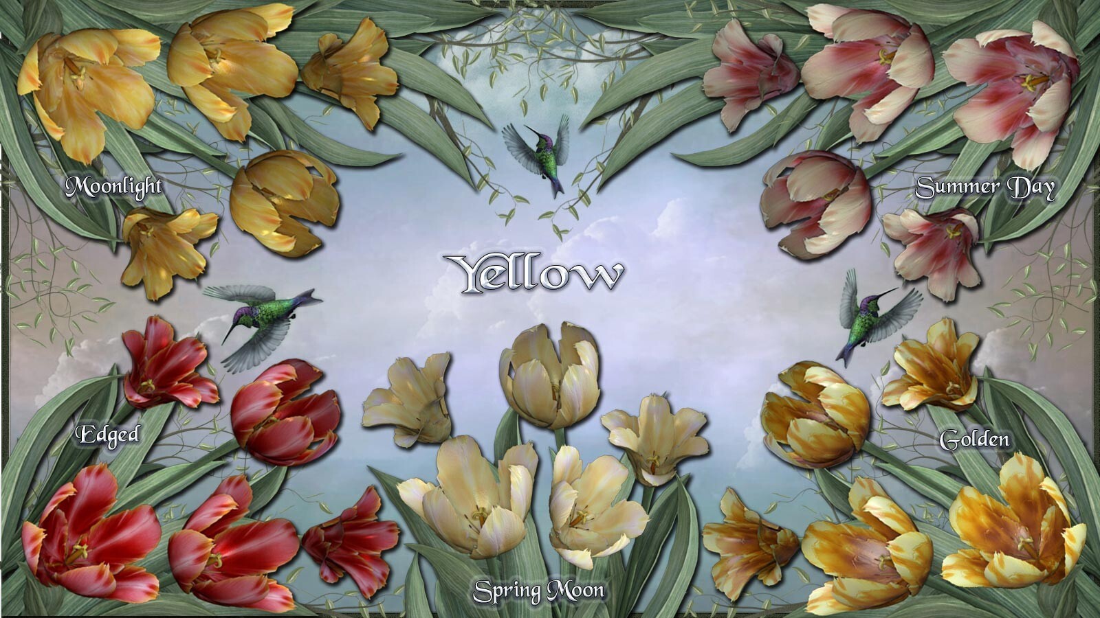 Spring Pastel Tulip Textures by N/A