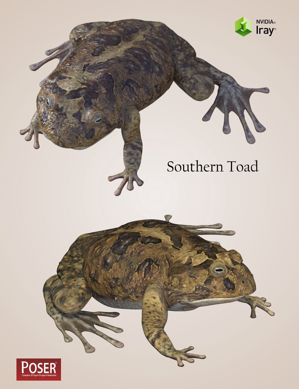 Nature's Wonders Frogs of the World Vol. 3 by N/A