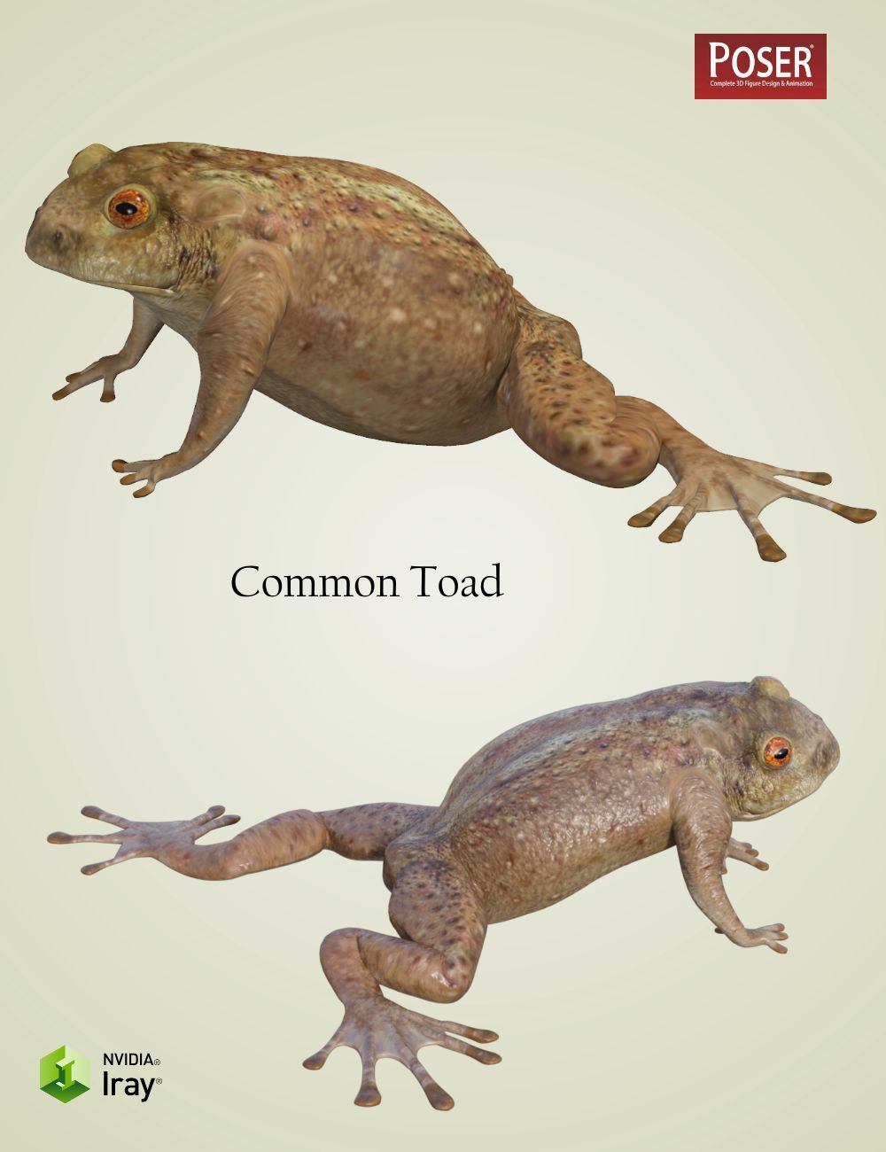 Nature's Wonders Frogs of the World Vol. 3 by N/A