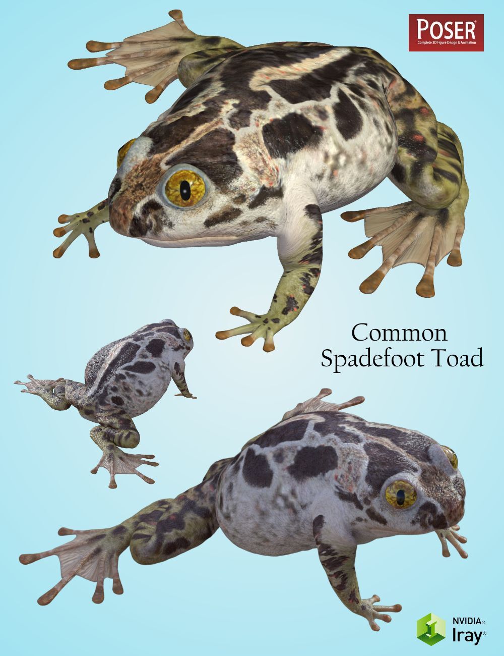 Nature's Wonders Frogs of the World Vol. 3 by N/A