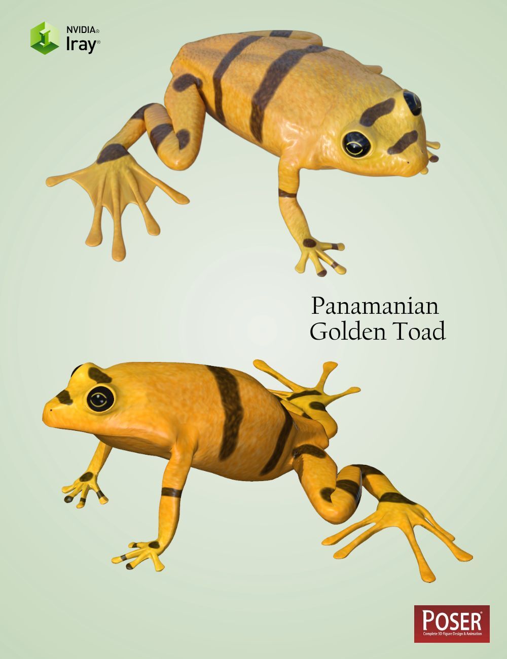 Nature's Wonders Frogs of the World Vol. 3 by N/A