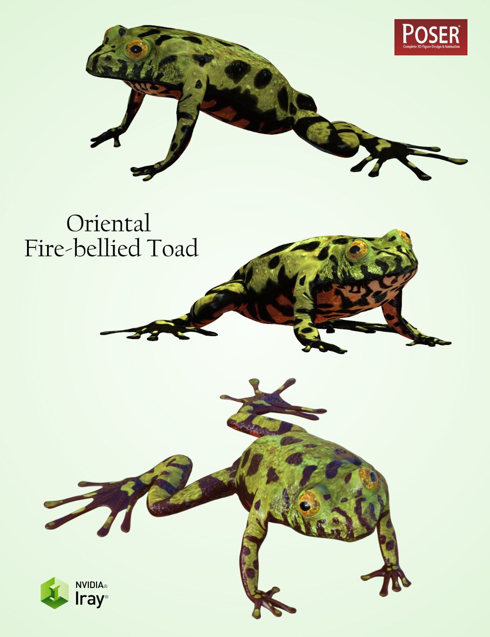 Nature's Wonders Frogs of the World Vol. 3 by N/A