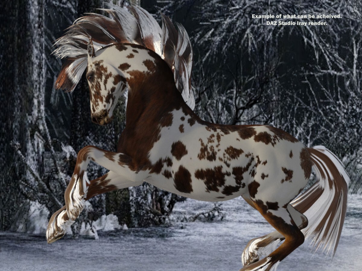 FL Chocolate Beauty for the HW Horse by N/A