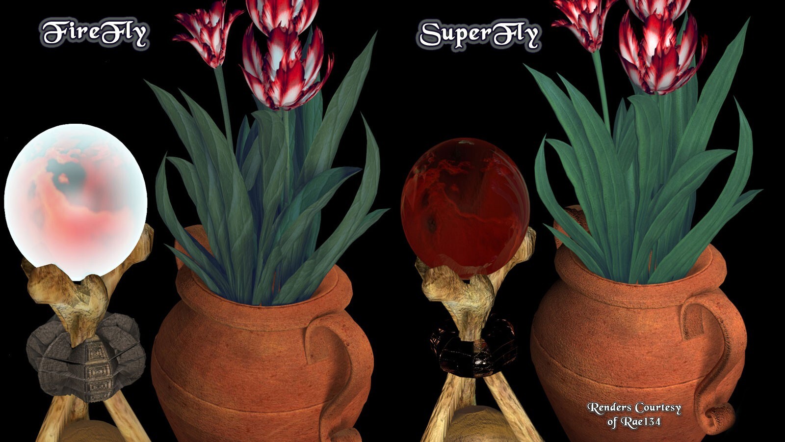 Dark Embrace for Lisa's Botanicals Tulips by N/A