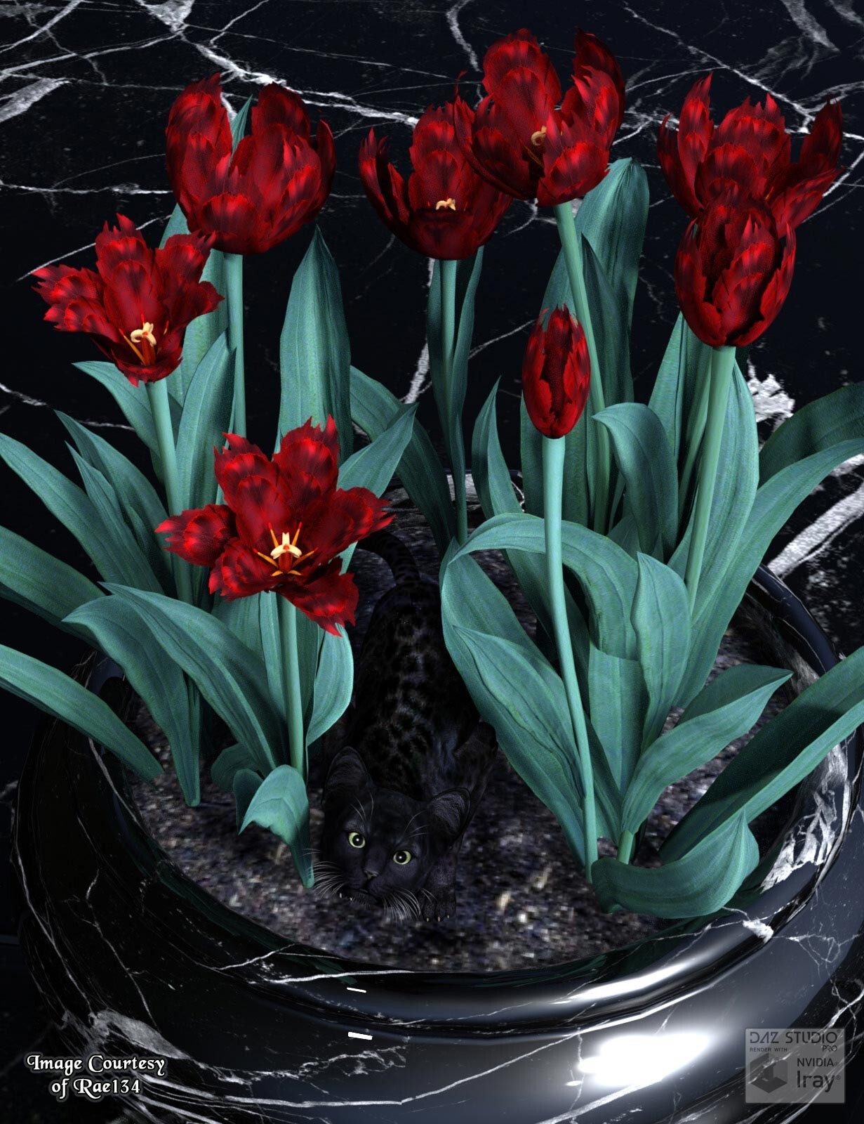Dark Embrace for Lisa's Botanicals Tulips by N/A
