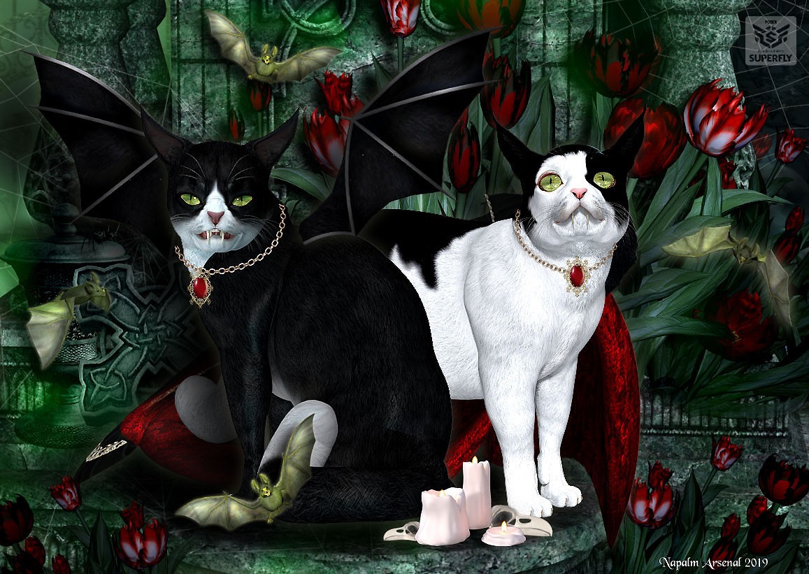 Dark Embrace for Lisa's Botanicals Tulips by N/A