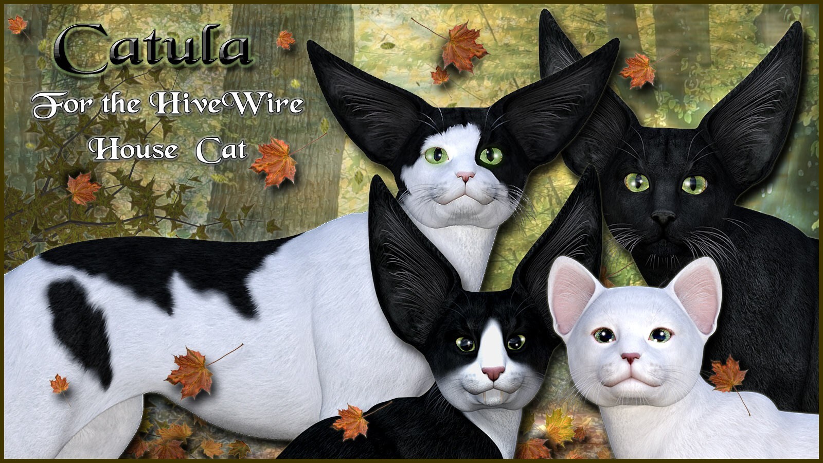 Catula for the HiveWire House Cat by N/A