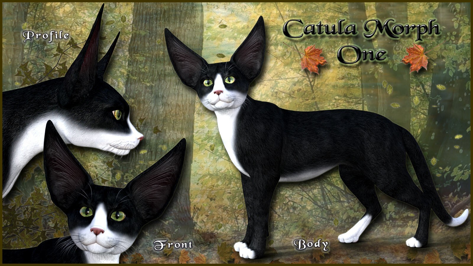 Catula for the HiveWire House Cat by N/A