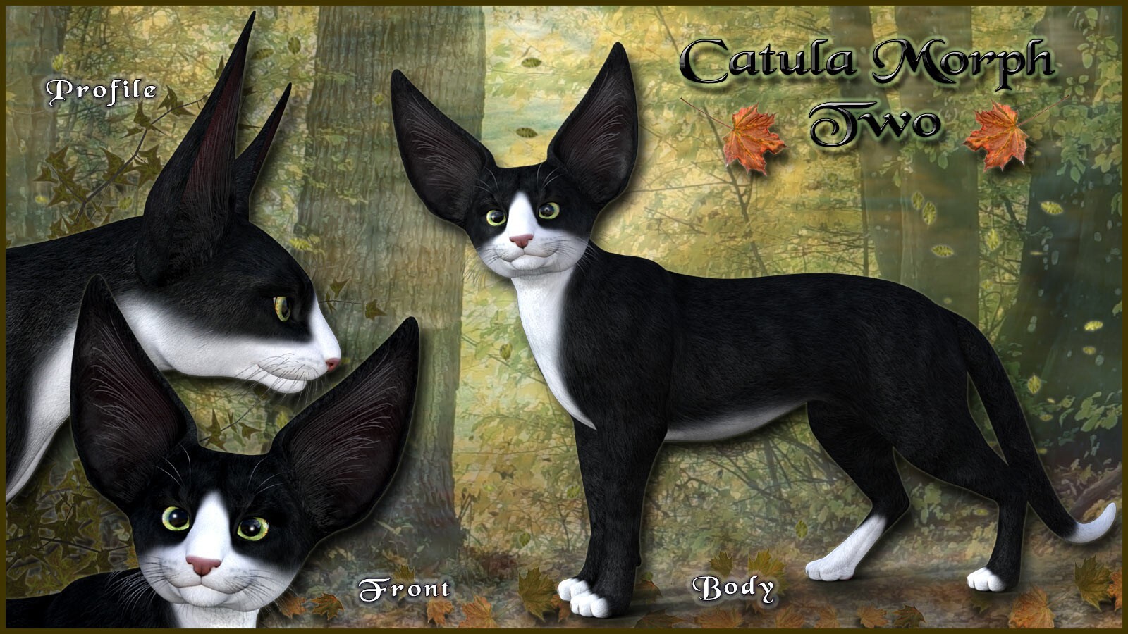 Catula for the HiveWire House Cat by N/A