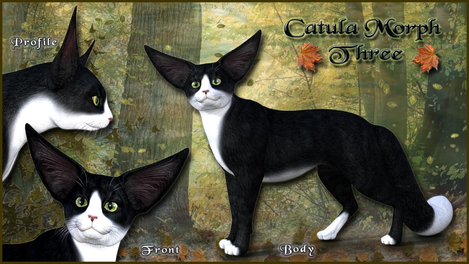 Catula for the HiveWire House Cat by N/A